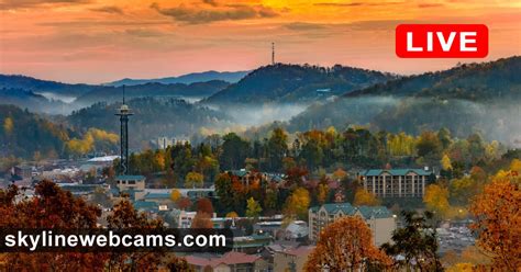 gatlinburg webcam live|Live Webcams 